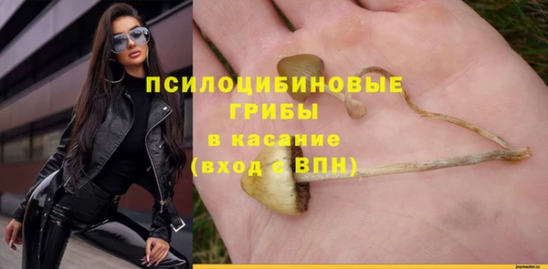шишки Алексеевка