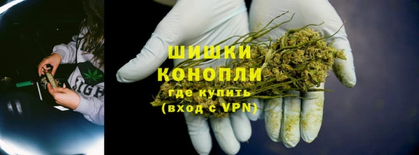 шишки Алексеевка