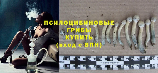 шишки Алексеевка
